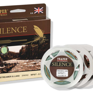Code Silence Streamer & Lake